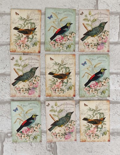 Vintage style bird - bird, card
