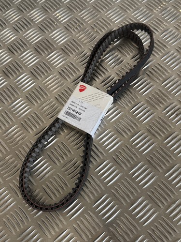 Ducati oem cam timing belts - oem,