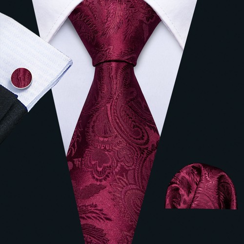 Men elegant burgundy paisley - men's,