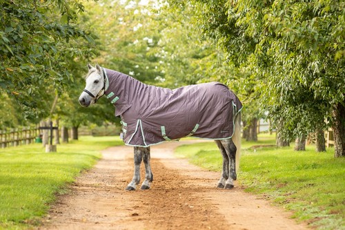 350g turnout horse pony - horse,