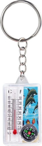 Dolphin thermometer compass - dolphin,