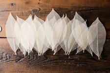 100 x Natural Skeleton Leaves Rubber Approx 4"/11 cm Craft Wedding Card Making