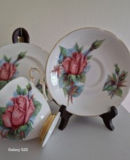 Rare Vintage Paragon Bone