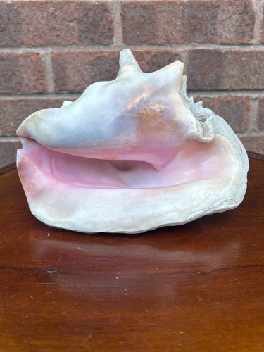 Extra large vintage queen - extra,
