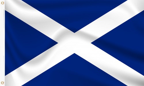 Scotland world cup flags - cup, st