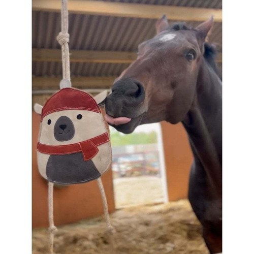 Ruggles horse stable - horse,