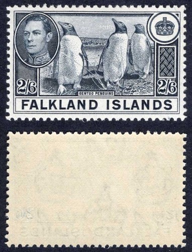 Falkland sg160 6 slate - sg160,