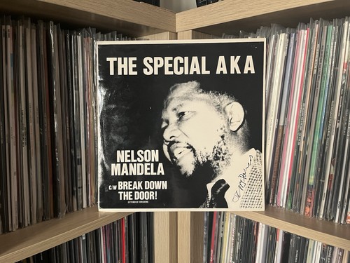 The special aka nelson mandela - special,