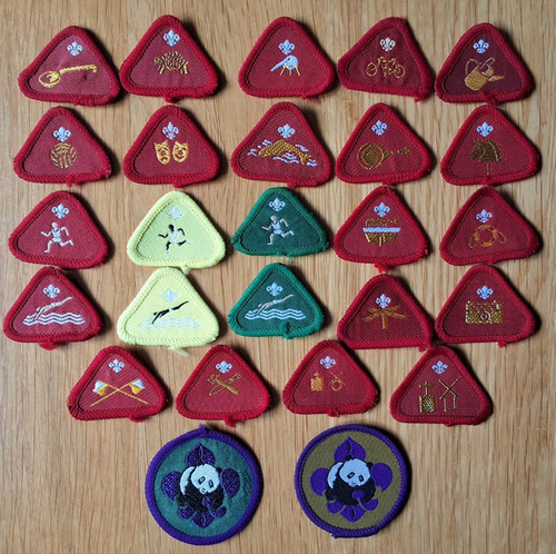 Cub scout profiency badges - scout,
