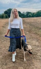 Wholesale Joblot Dog Leads x