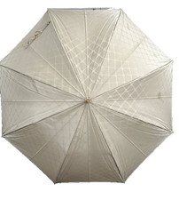 Vintage Burberry Walking