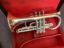 Cornet Lark Student model