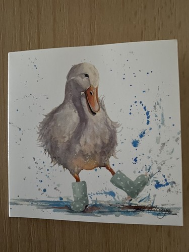 Bree and merryn - card, duck
