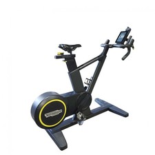 TechnoGym SkillBike Upright