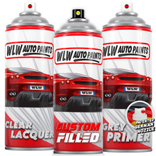 Aerosol Paint For Ford