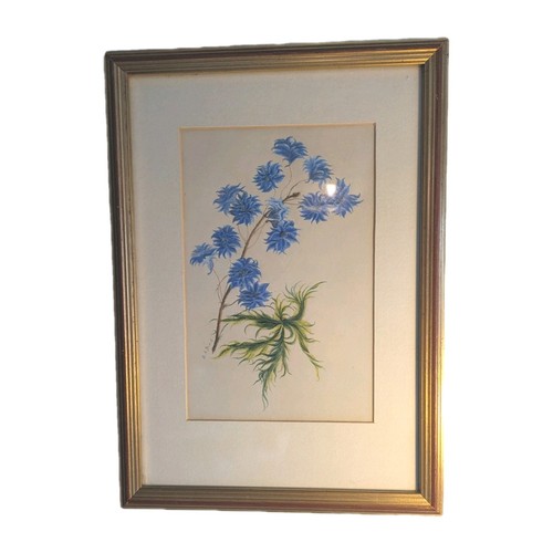19th century botanical - century,