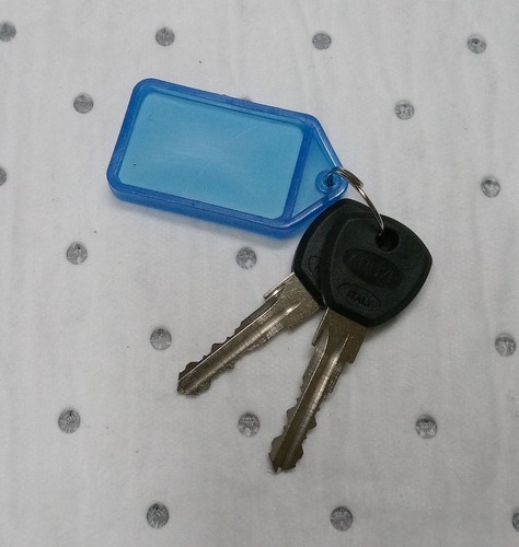 Keys for carrera vengeance - for,