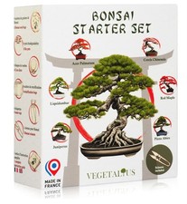 Maitre Bonsai Complete Starter