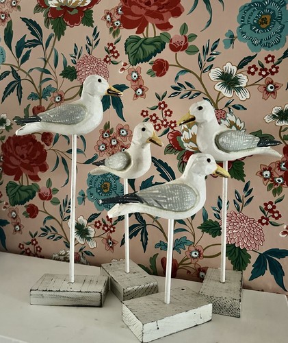 Large seagull birds 35cm - 4,
