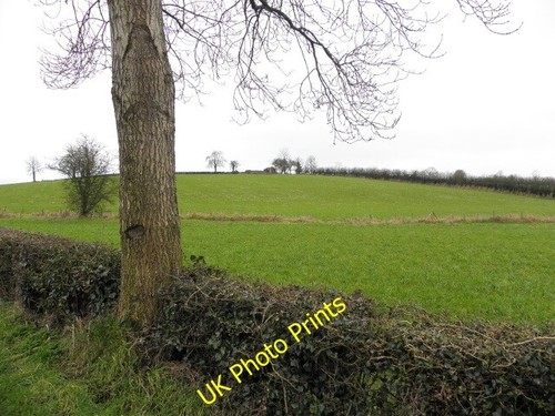 Photo 6x4 lismulladown - photo,