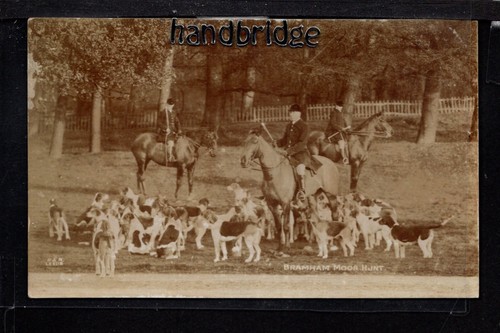 Bramham moor hunt - moor, near