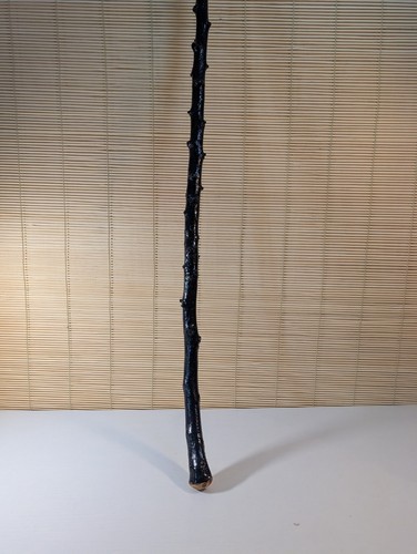 Blackthorn walking stick irish - stick,