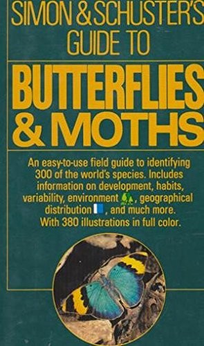 Butterflies by mauro - butterflies,