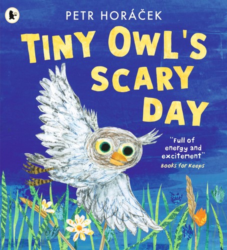 Tiny owl scary day petr - tiny,