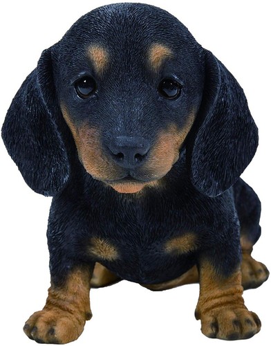Vivid arts pet - -, pals