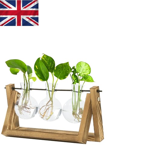 Chic hydroponic propagation - chic,