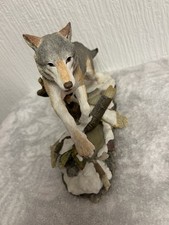 Rare country artists wolf
