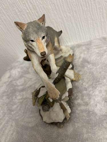 Rare country artists wolf