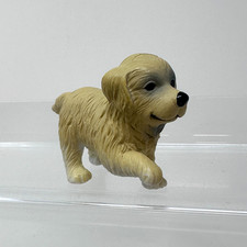 Labrador Golden Retriever