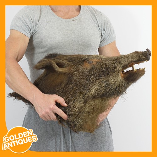 Big vintage shoulder - big,