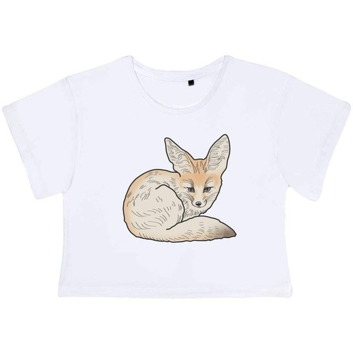 Fennec fox adult cotton - adult, crop