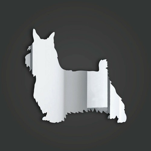Silky terrier silver - silky,
