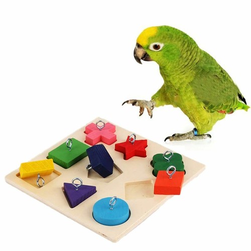 Bird parrot swing - swing, toys