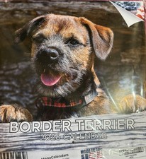 Border terrier dog Calendar 2026 large 12” square New rare USA version 