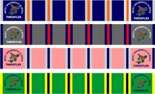 West Brom Throstles Scarf Pin