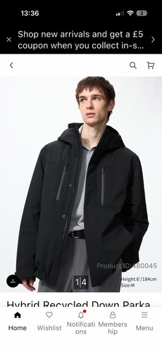 Uniqlo recycled down - down, parka