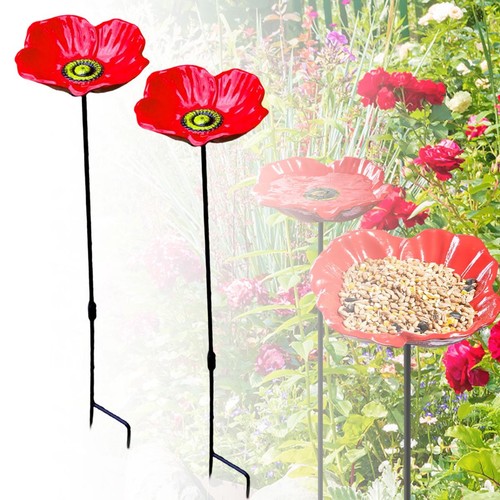 Outdoor garden bird - outdoor,