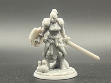 Unpainted Human Female Paladin