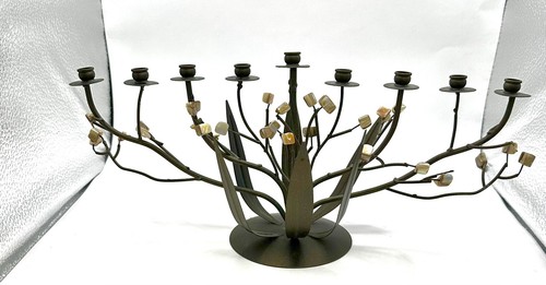 Beautiful bronze narcissus - beautiful,