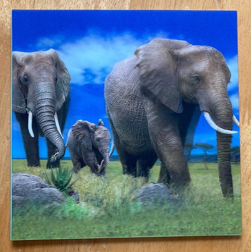 Elephants 3d holographic - 3d,