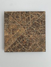 Barbara Kngwarreye Long Tate