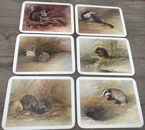 Animal themed melamine - animal,