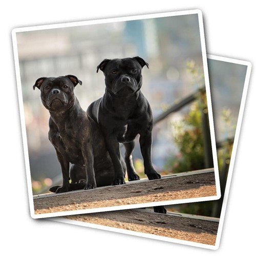 Vinyl stickers - vinyl,