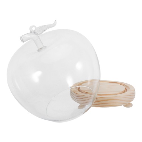 Clear glass dome - glass, cloche