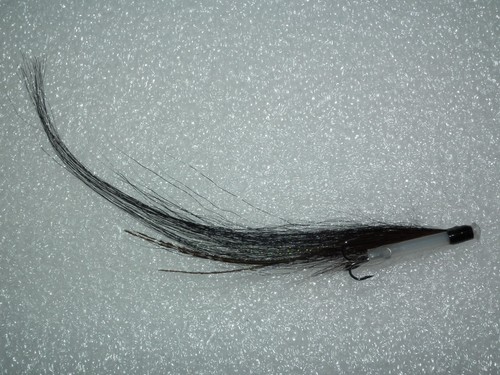 Salmon seatrout 1 - salmon/seatrout,