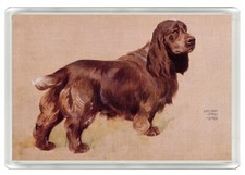 FIELD SPANIEL LOVELY DOG ART